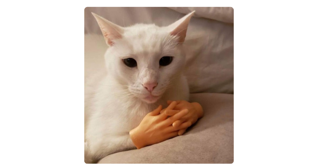 Cats with prosthetic hands