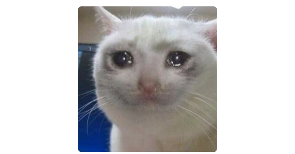 Crying cat